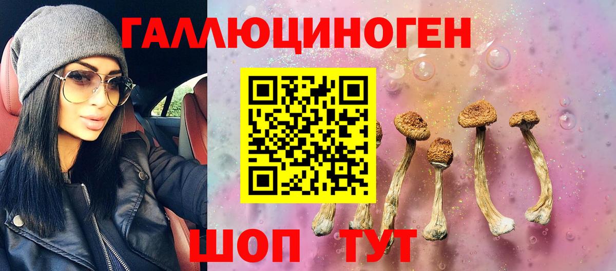 Первоуральск  Галлюциногенные грибы мицелий  Вход с VPN 